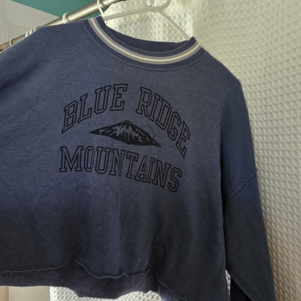 American Eagle Outfitters Cropped Sweatshirt